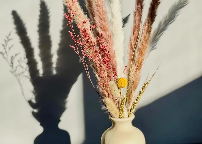 度假居 Beachlife: The